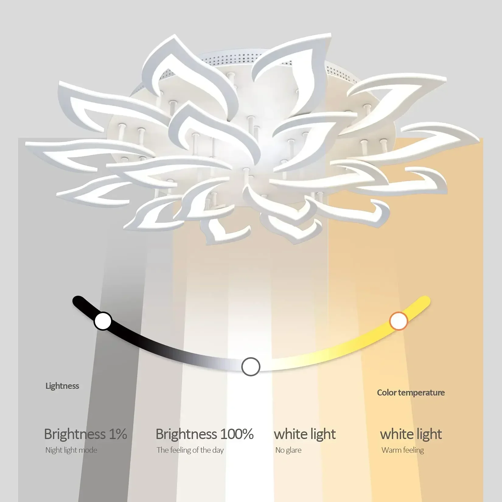 Designer LED Petal Chandelier  - Interior Design Kitchen Modern ulasan dan harga